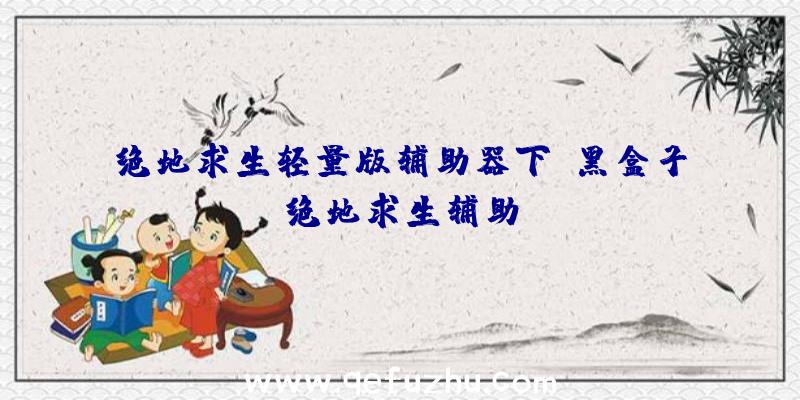 绝地求生轻量版辅助器下、黑盒子绝地求生辅助