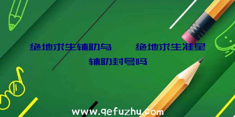 绝地求生辅助乌兹、绝地求生准星辅助封号吗