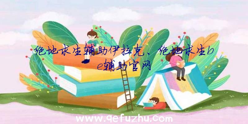 绝地求生辅助伊拉克、绝地求生be辅助官网