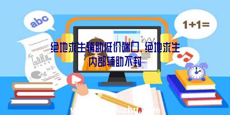 绝地求生辅助低价端口、绝地求生内部辅助不封