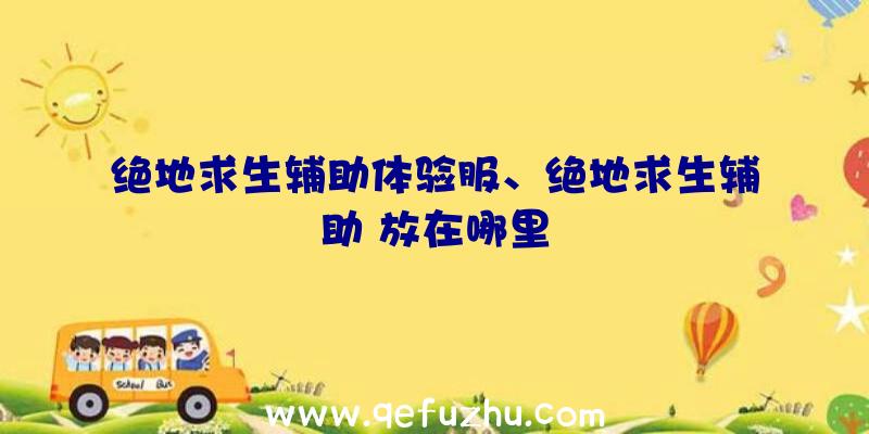 绝地求生辅助体验服、绝地求生辅助