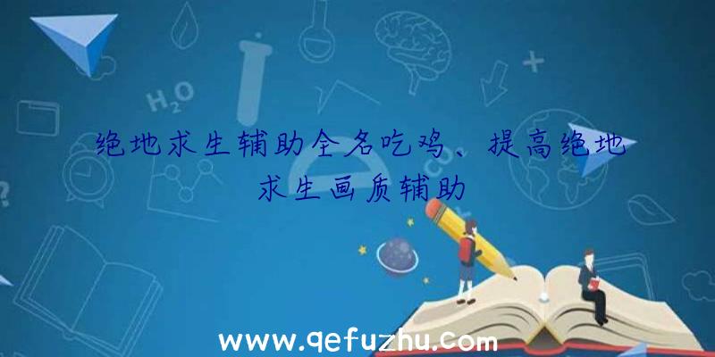 绝地求生辅助全名吃鸡、提高绝地求生画质辅助