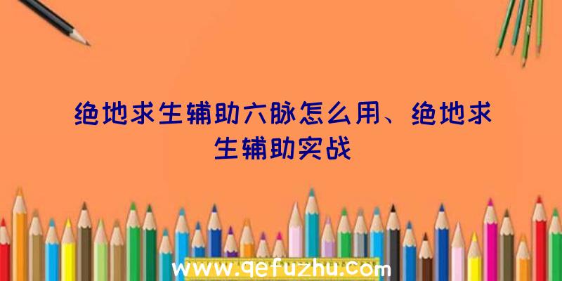 绝地求生辅助六脉怎么用、绝地求生辅助实战