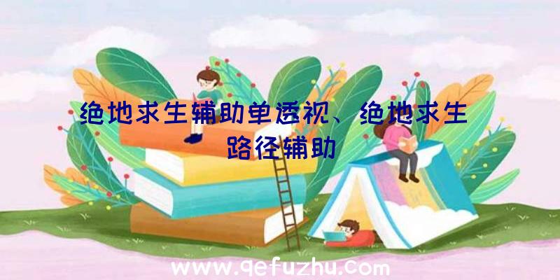 绝地求生辅助单透视、绝地求生