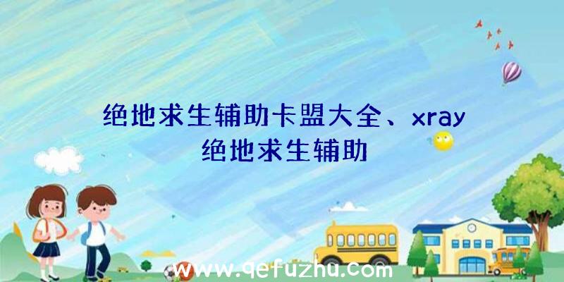 绝地求生辅助卡盟大全、xray绝地求生辅助