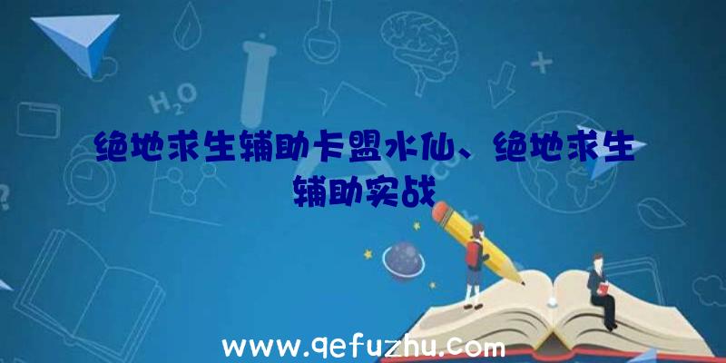 绝地求生辅助卡盟水仙、绝地求生辅助实战