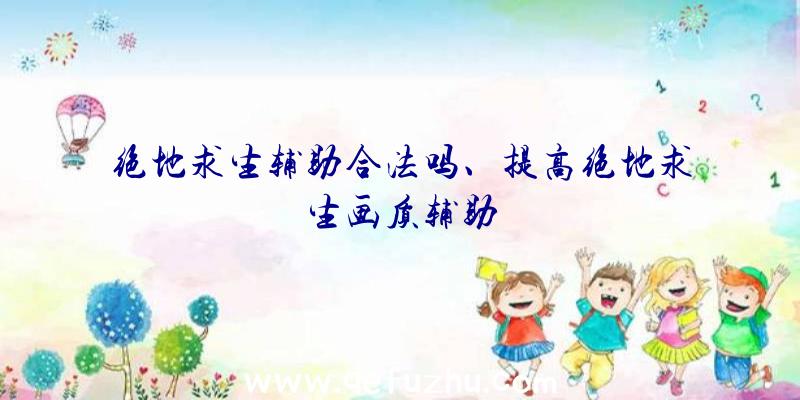 绝地求生辅助合法吗、提高绝地求生画质辅助