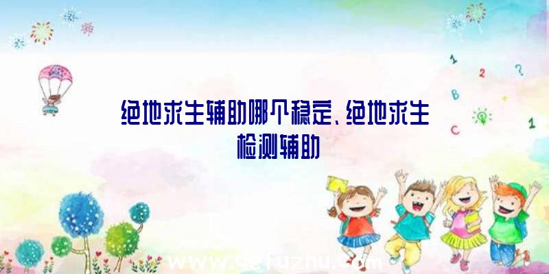 绝地求生辅助哪个稳定、绝地求生