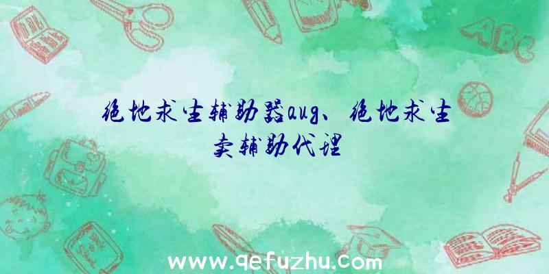 绝地求生辅助器aug、绝地求生卖辅助代理