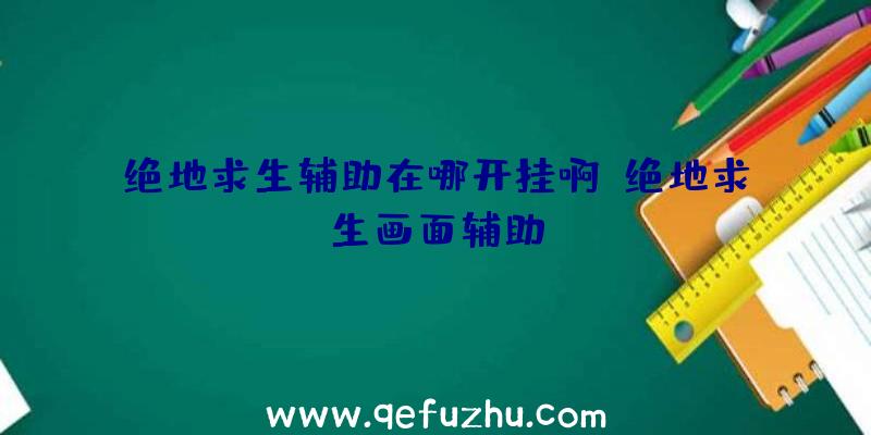 绝地求生辅助在哪开挂啊、绝地求生画面辅助