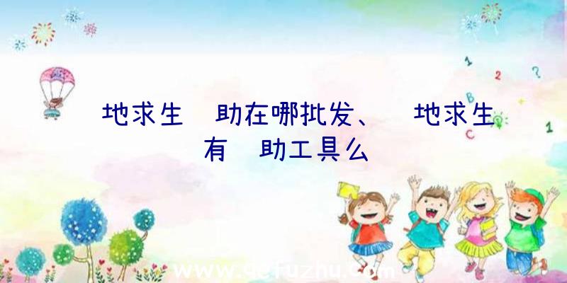 绝地求生辅助在哪批发、绝地求生有辅助工具么