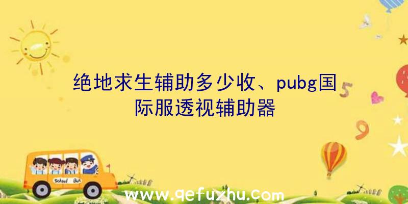 绝地求生辅助多少收、pubg国际服透视辅助器