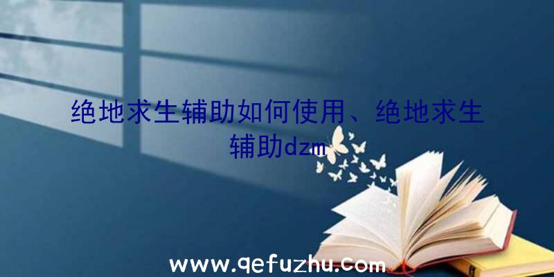 绝地求生辅助如何使用、绝地求生辅助dzm