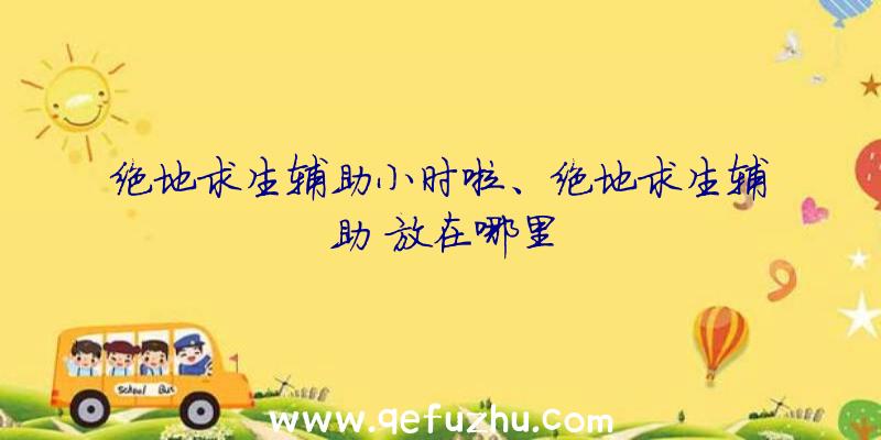 绝地求生辅助小时啦、绝地求生辅助