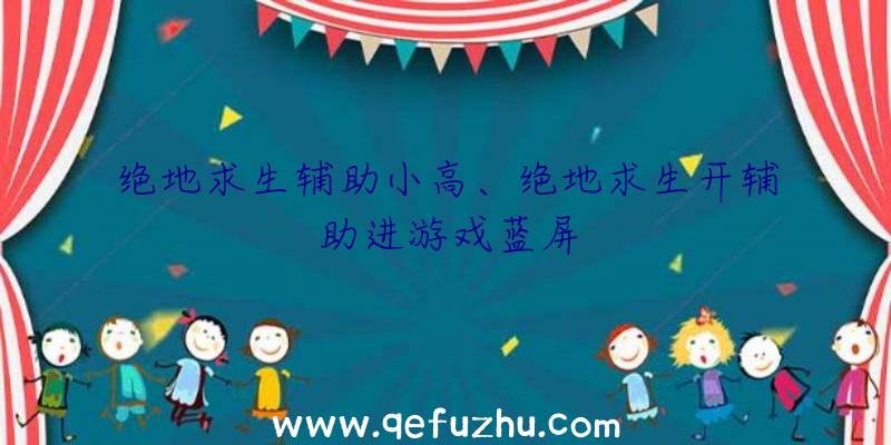 绝地求生辅助小高、绝地求生开辅助进游戏蓝屏
