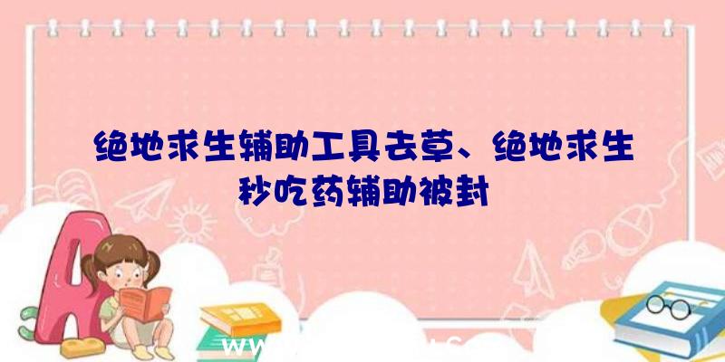 绝地求生辅助工具去草、绝地求生秒吃药辅助被封