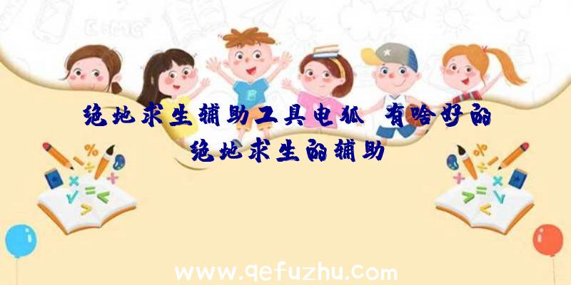 绝地求生辅助工具电狐、有啥好的绝地求生的辅助