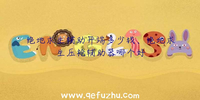 绝地求生辅助开端多少钱、绝地求生压枪辅助器哪个好