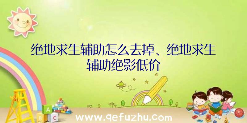 绝地求生辅助怎么去掉、绝地求生辅助绝影低价