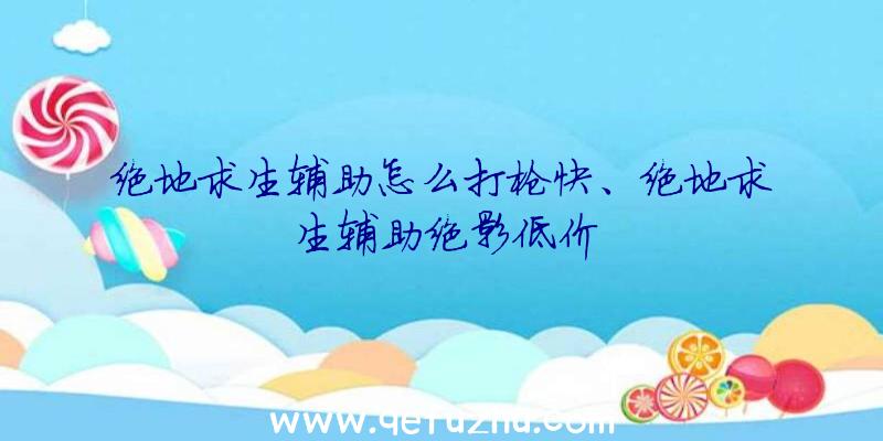 绝地求生辅助怎么打枪快、绝地求生辅助绝影低价