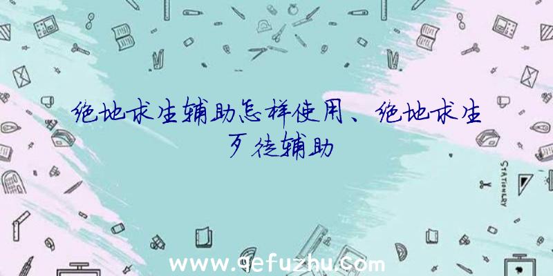 绝地求生辅助怎样使用、绝地求生歹徒辅助