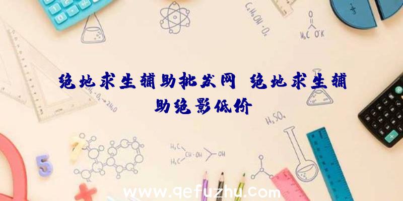 绝地求生辅助批发网、绝地求生辅助绝影低价
