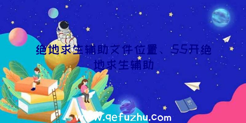 绝地求生辅助文件位置、55开绝地求生辅助