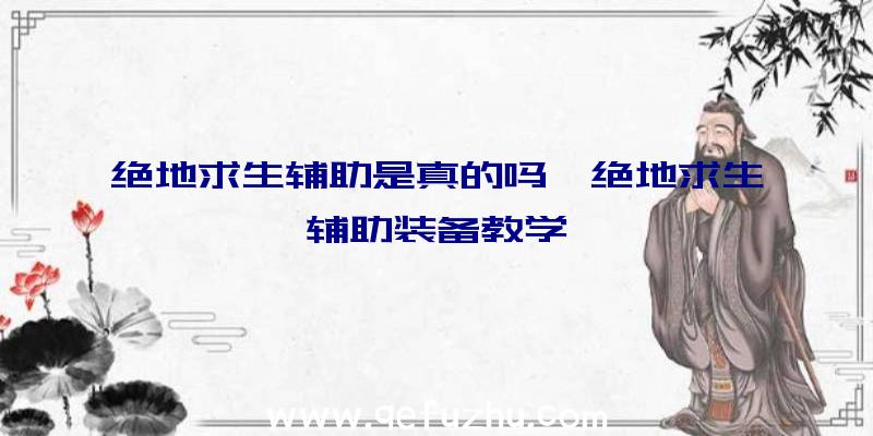 绝地求生辅助是真的吗、绝地求生辅助装备教学