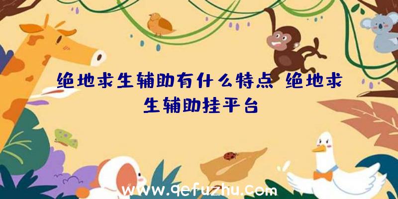 绝地求生辅助有什么特点、绝地求生辅助挂平台