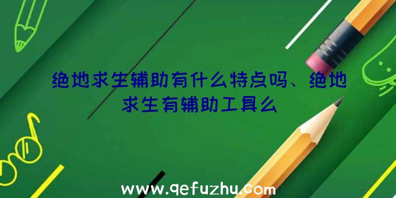 绝地求生辅助有什么特点吗、绝地求生有辅助工具么