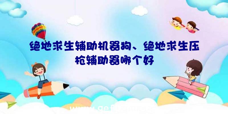 绝地求生辅助机器狗、绝地求生压枪辅助器哪个好
