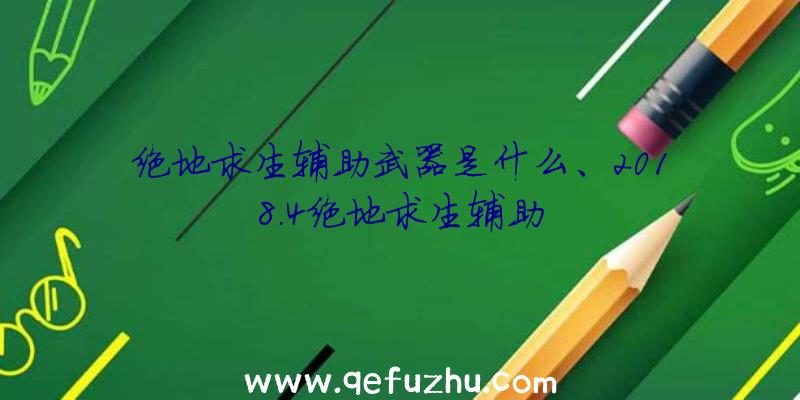 绝地求生辅助武器是什么、2018.4绝地求生辅助
