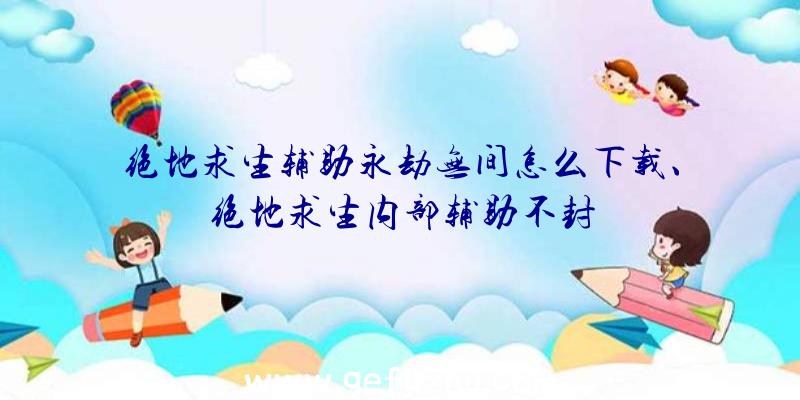 绝地求生辅助永劫无间怎么下载、绝地求生内部辅助不封