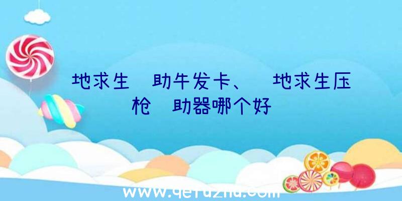 绝地求生辅助牛发卡、绝地求生压枪辅助器哪个好