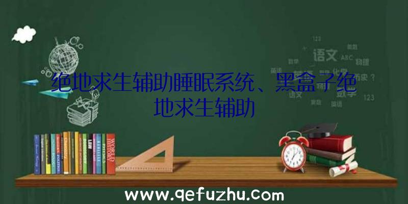 绝地求生辅助睡眠系统、黑盒子绝地求生辅助