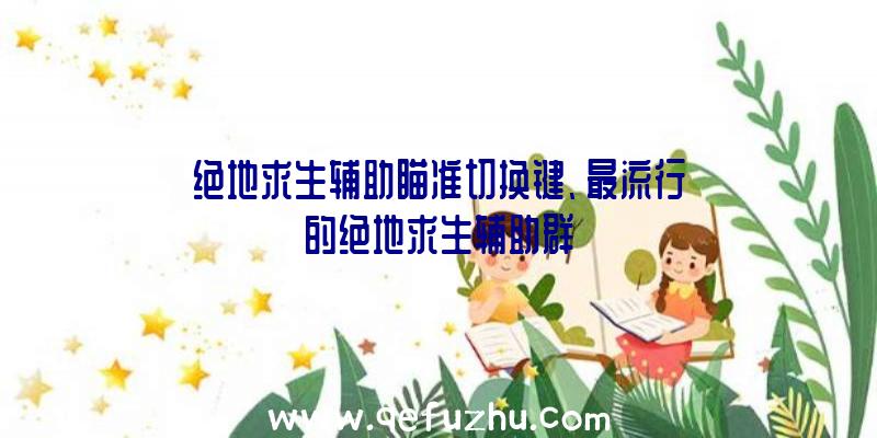 绝地求生辅助瞄准切换键、最流行的绝地求生辅助群