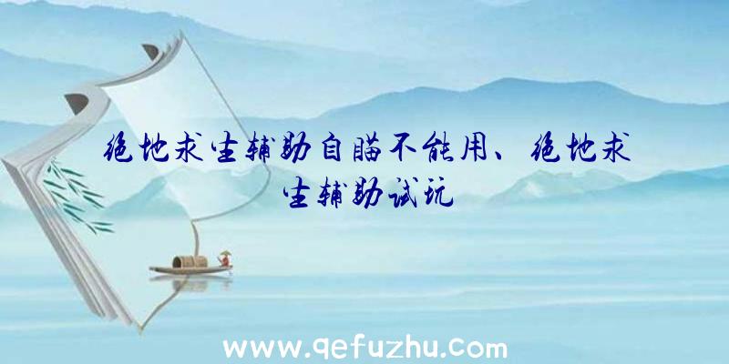 绝地求生辅助自瞄不能用、绝地求生辅助试玩