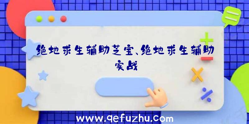 绝地求生辅助芝宝、绝地求生辅助实战