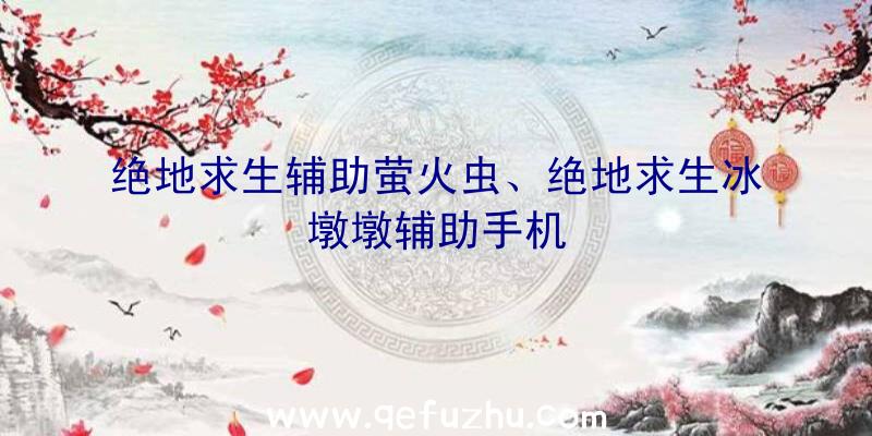 绝地求生辅助萤火虫、绝地求生冰墩墩辅助手机