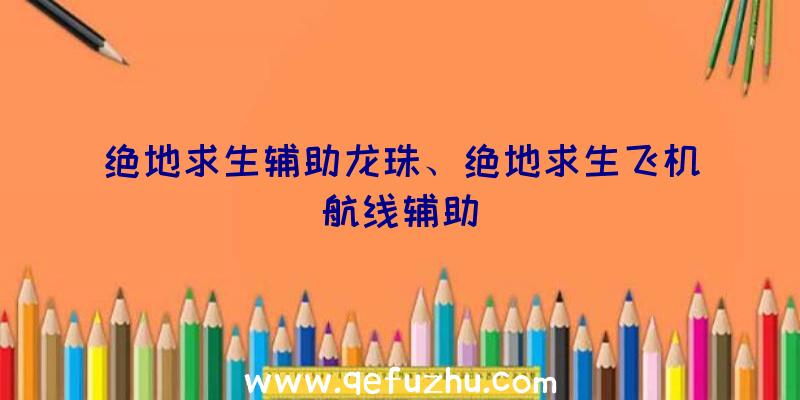 绝地求生辅助龙珠、绝地求生飞机航线辅助