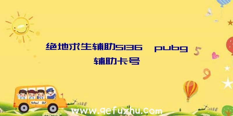 绝地求生辅助5136、pubg辅助卡号