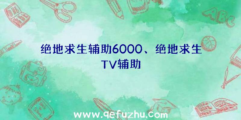 绝地求生辅助6000、绝地求生TV辅助