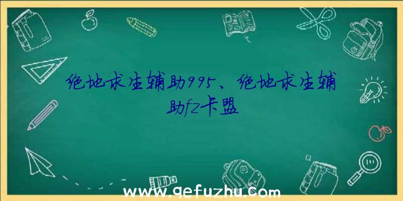 绝地求生辅助995、绝地求生辅助fz卡盟