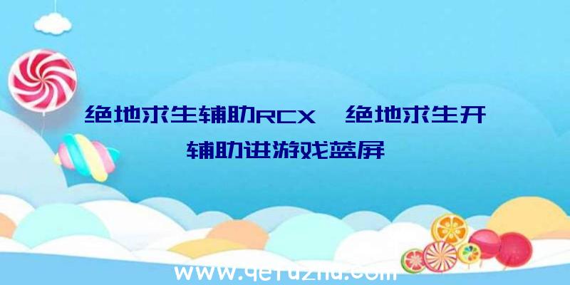 绝地求生辅助RCX、绝地求生开辅助进游戏蓝屏