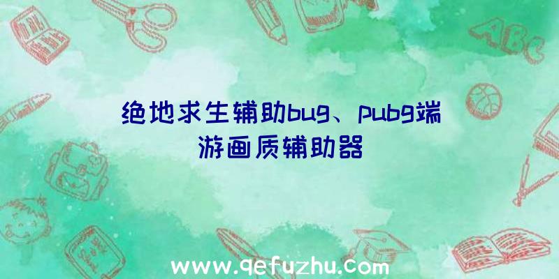 绝地求生辅助bug、pubg端游画质辅助器