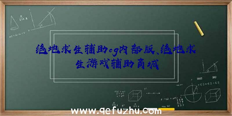 绝地求生辅助cg内部版、绝地求生游戏辅助商城