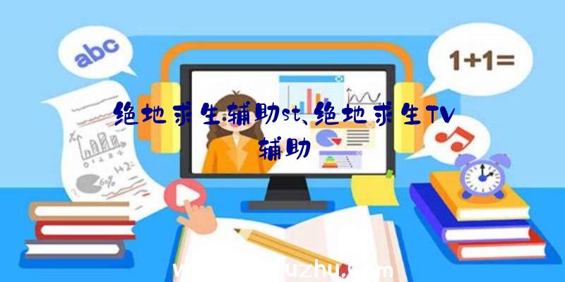 绝地求生辅助st、绝地求生TV辅助