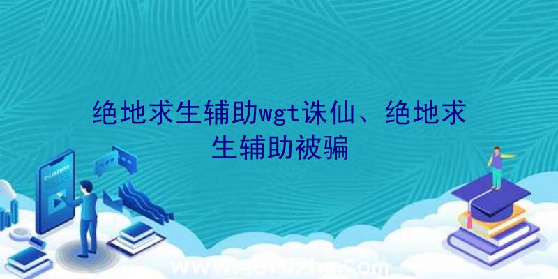 绝地求生辅助wgt诛仙、绝地求生辅助被骗
