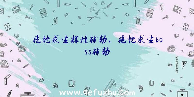 绝地求生辉煌辅助、绝地求生boss辅助
