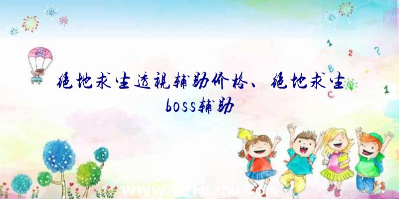 绝地求生透视辅助价格、绝地求生boss辅助
